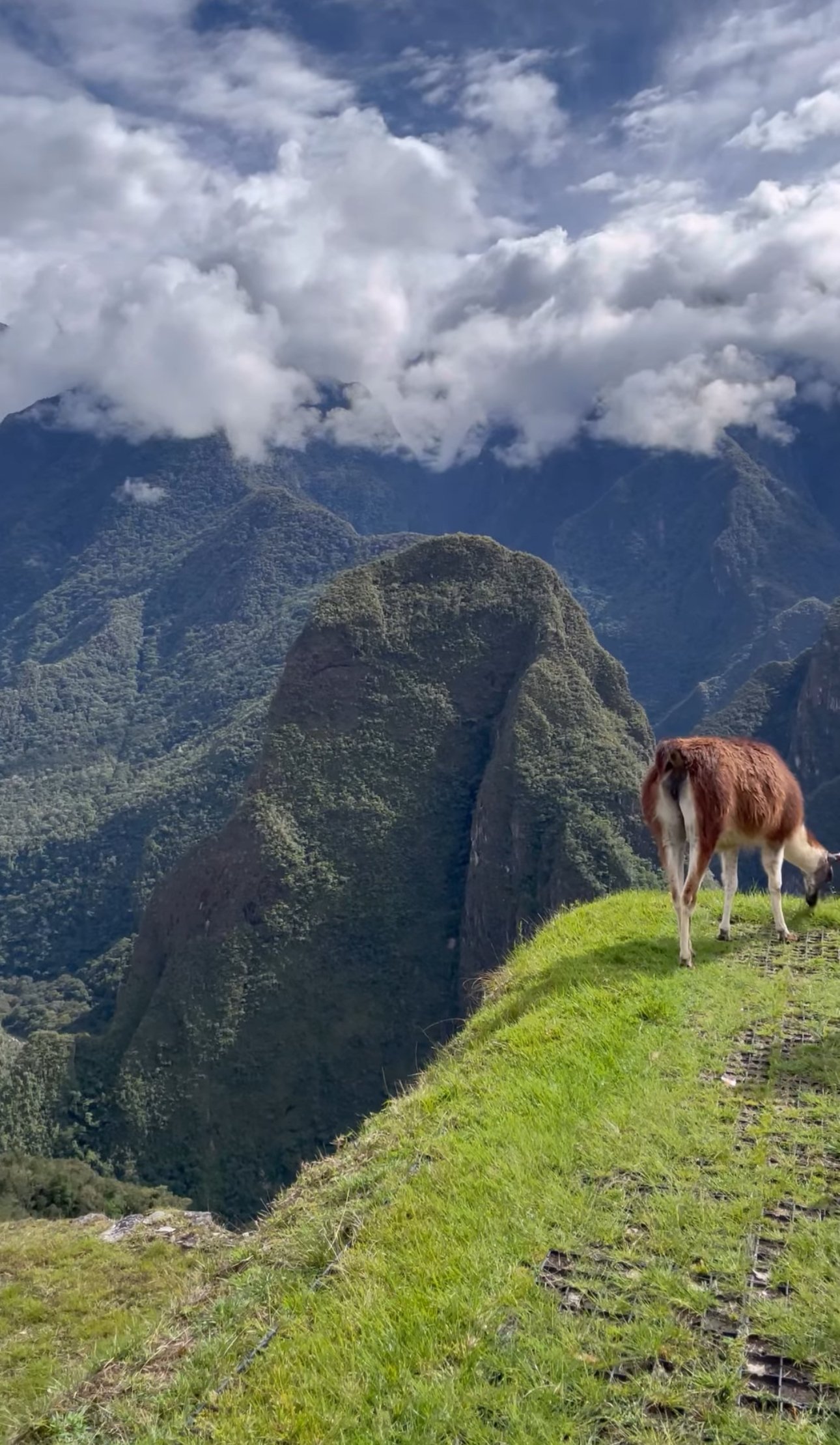 Machu Picchu via Trem - Imagem 9