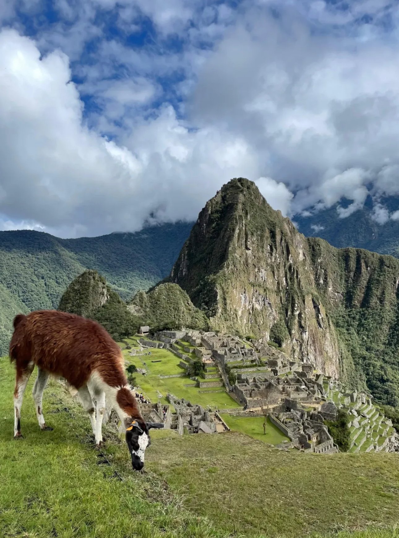 Machu Picchu via Trem - Imagem 2