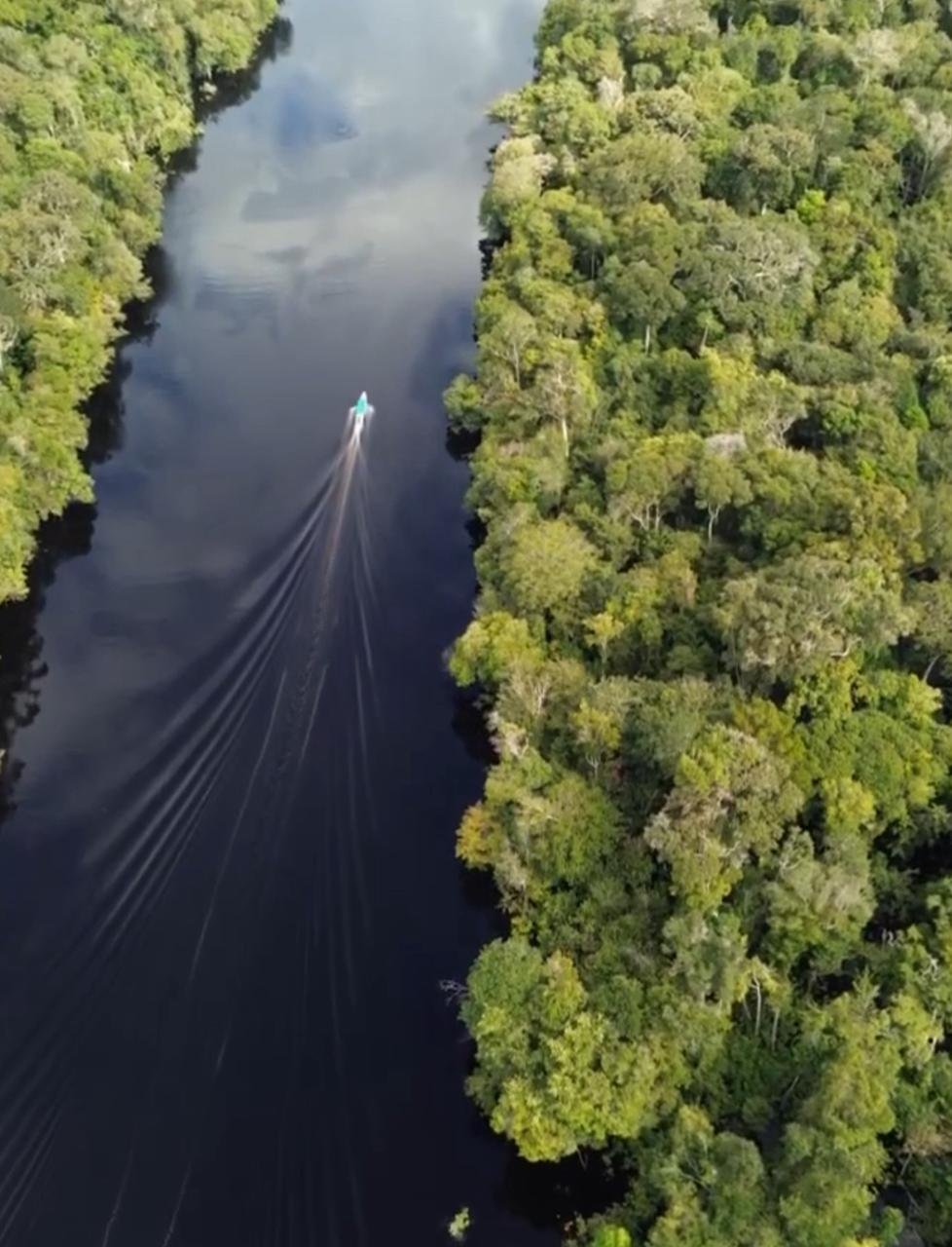 Amazônia Sobrevivência - Imagem 17