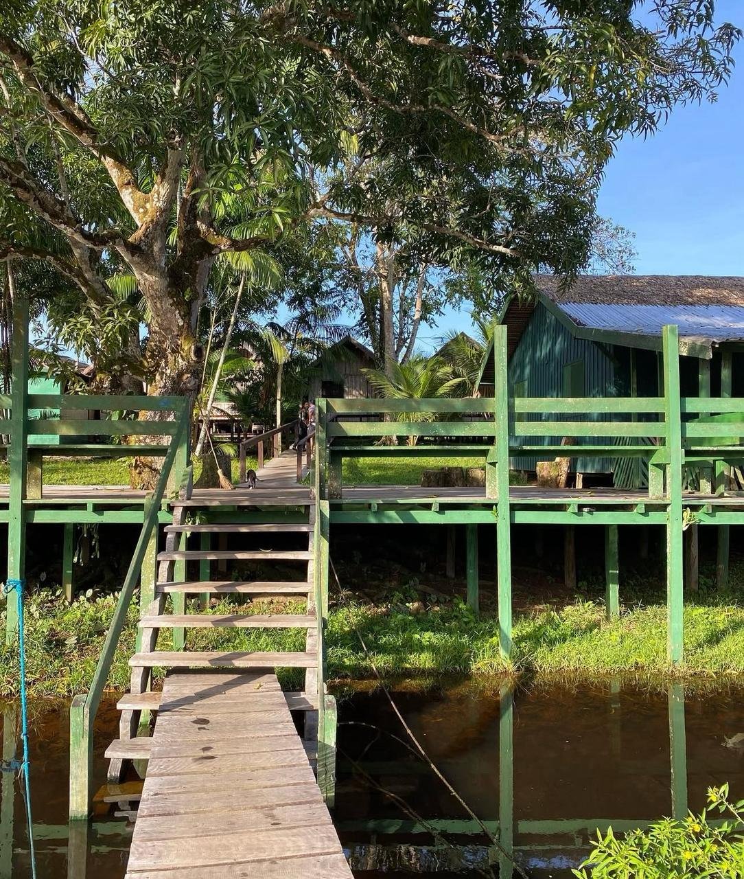 Amazônia Sobrevivência - Imagem 11