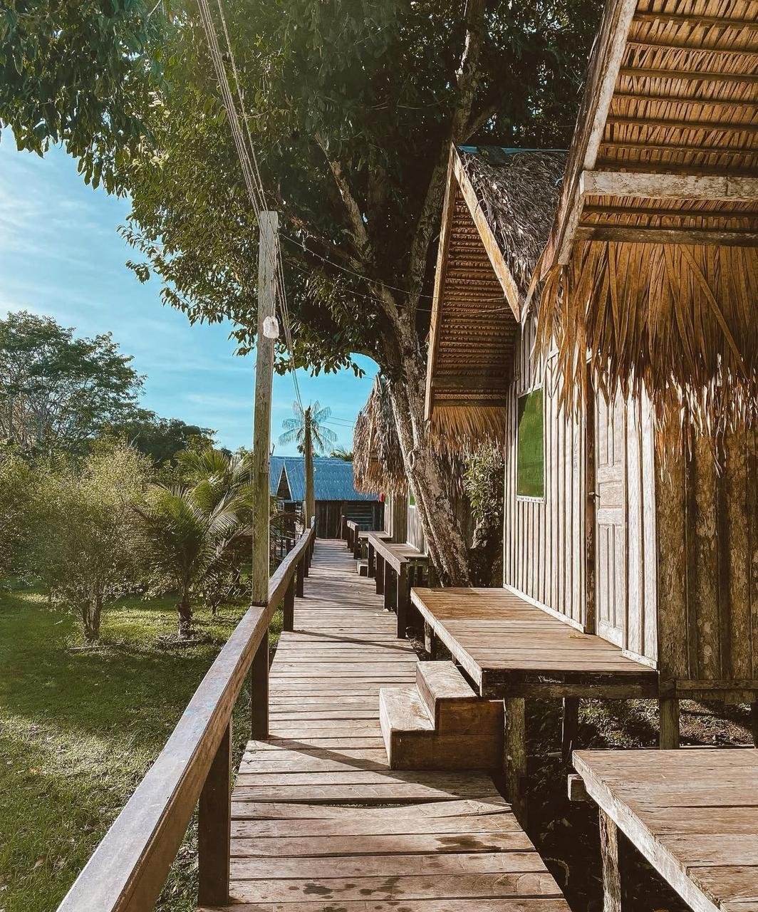 Amazônia Sobrevivência - Imagem 12