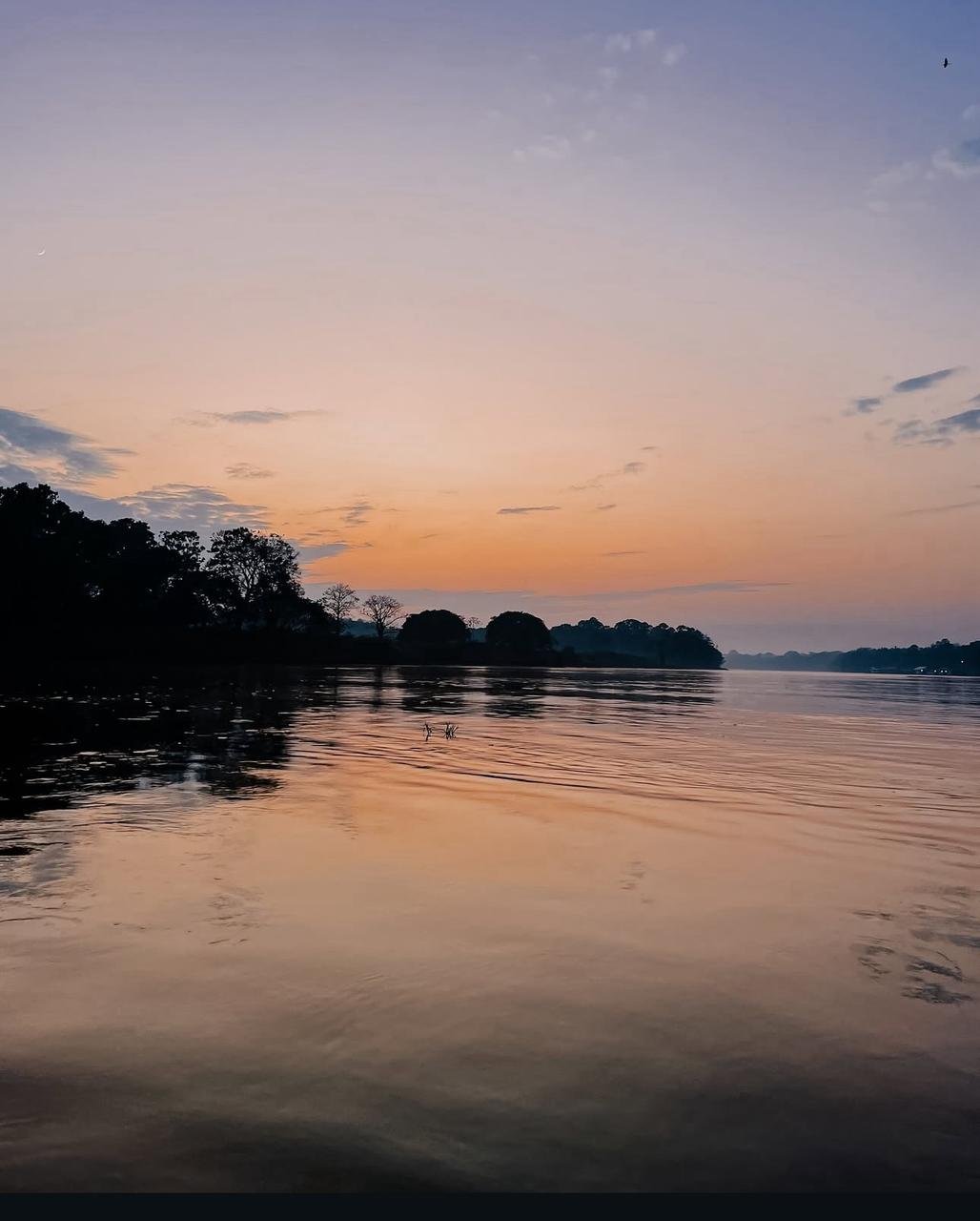 Amazônia Sobrevivência - Imagem 9