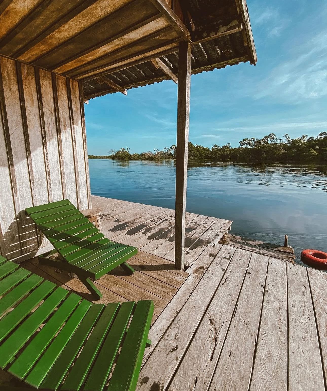 Amazônia Sobrevivência - Imagem 8