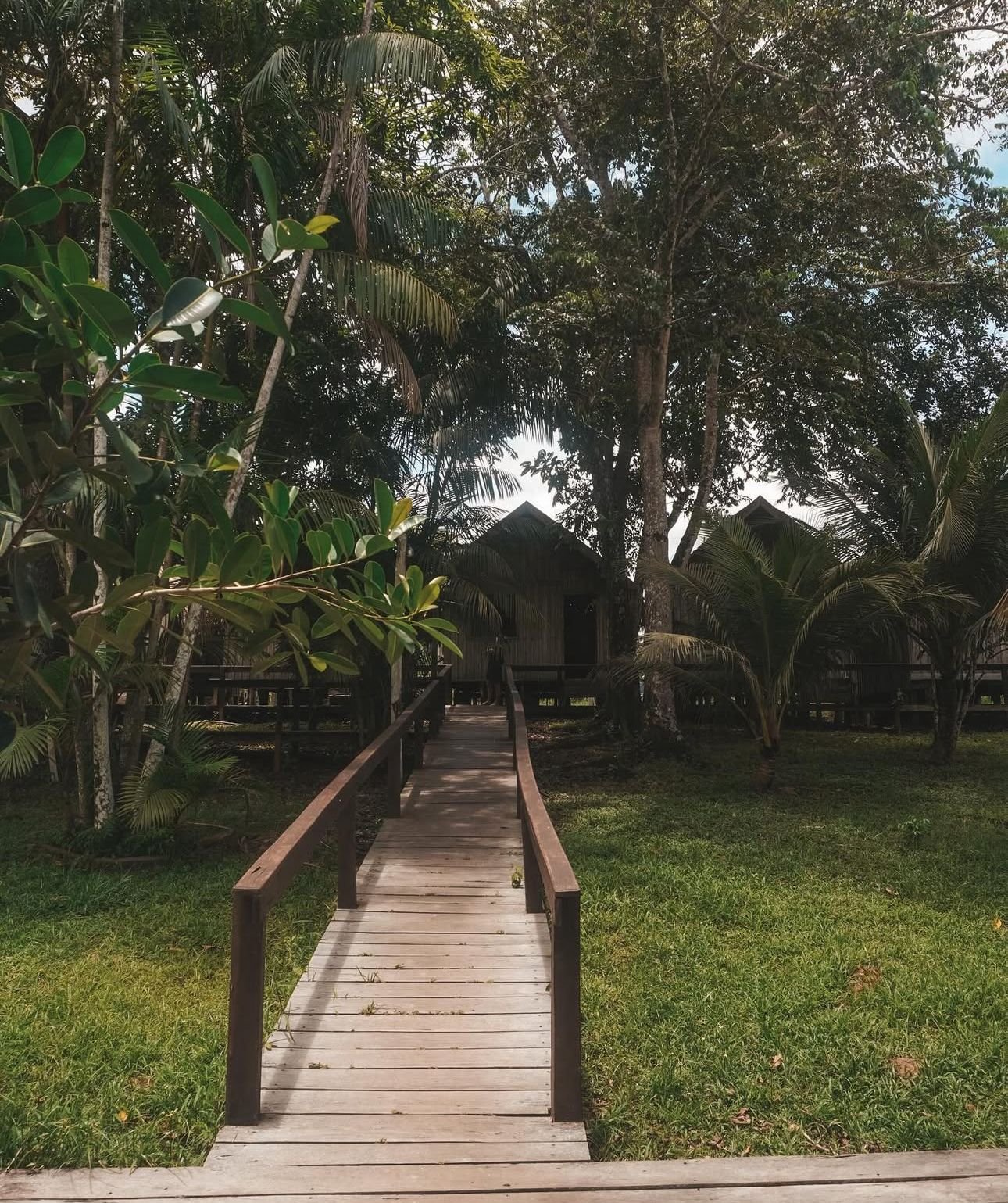 Amazônia Sobrevivência - Imagem 4