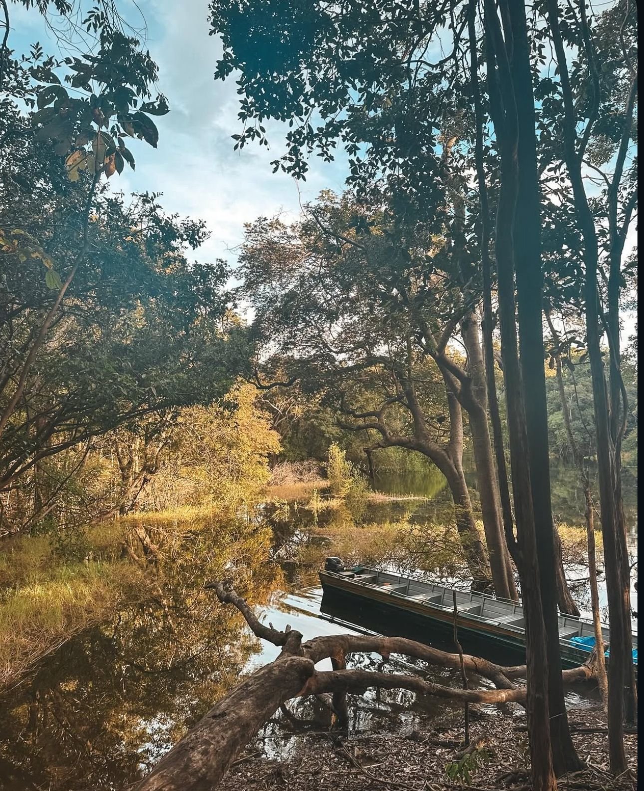 Amazônia Sobrevivência - Imagem 3